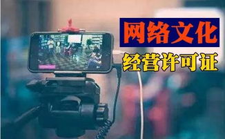 成都办理网络文化经营许可证指南 如何选择靠谱的服务机构