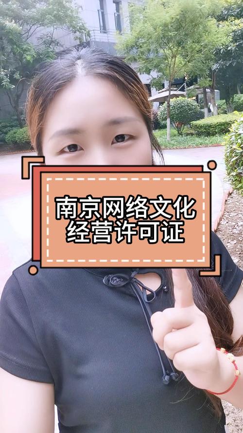 南京网络文化经营许可证办理条件及流程详解